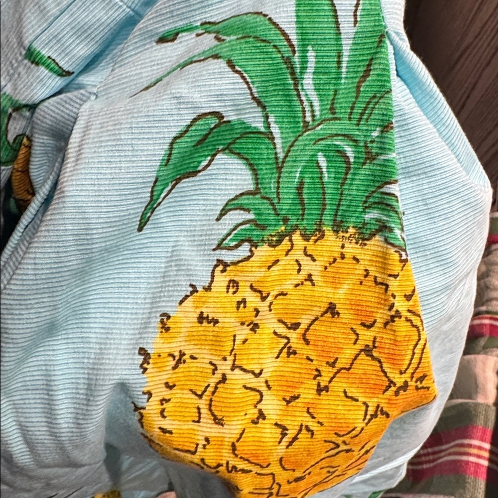 RSVP by Talbots Pineapple Print A-Line Skirt – Size 10P - Picture 5 of 5